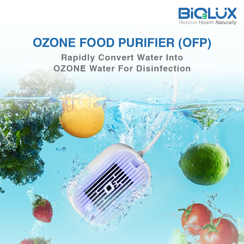 OZONE Food Purifier