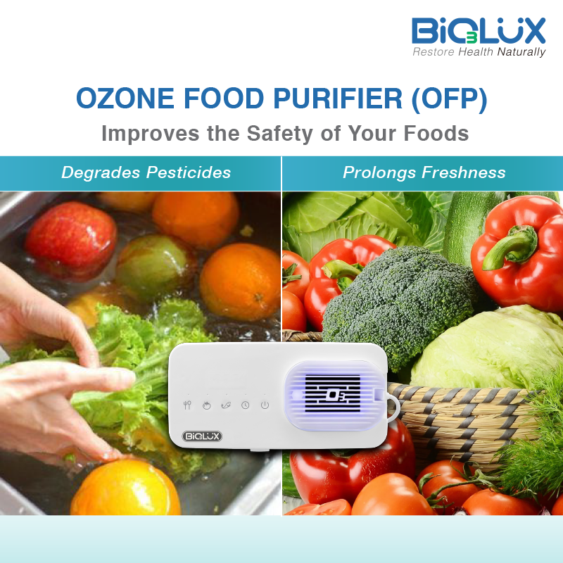 OZONE Food Purifier