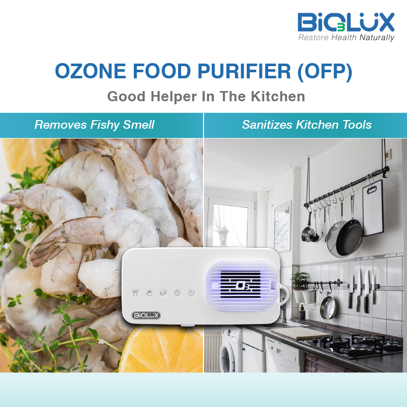 OZONE Food Purifier